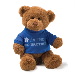 GUND Message Bear Big Brother Plush Toy Chocolate 32cm