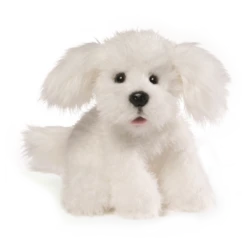 GUND Georgette The Dog Plush Toy 25cm White