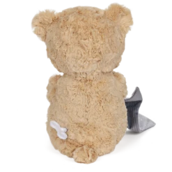 GUND Baby Sweet Sounds Lullaby Bear Plush Toy 30cm -Toy Supplies Store JAS0139 2