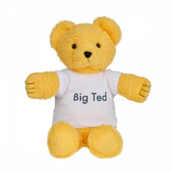 Play School Big Ted Plush Toy 30cm