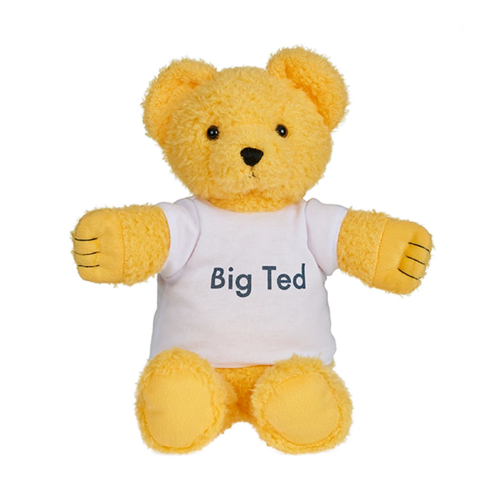 Play School Big Ted Plush Toy 30cm 3 Play School Big Ted Plush Toy 30cm