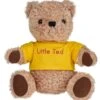 Play School Little Ted Plush Toy 22cm -Toy Supplies Store JAS0168