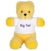 Play School Big Ted Beanie Plush Toy 18cm 1 Play School Big Ted Beanie Plush Toy 18cm -Toy Supplies Store JAS0176