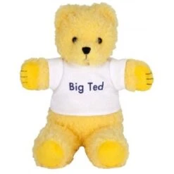 Play School Big Ted Beanie Plush Toy 18cm