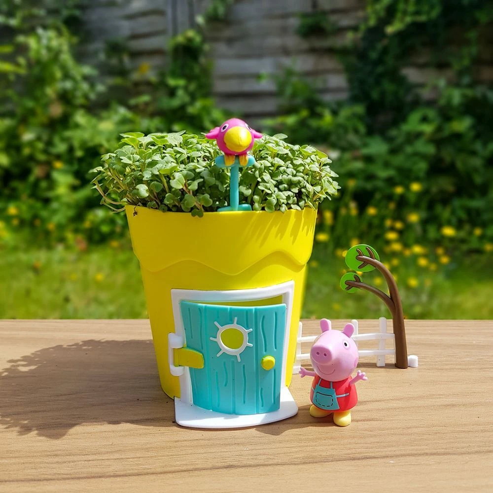 Peppa Pig Grow & Play Peppa Pots Cress Seeds 5 Peppa Pig Grow & Play Peppa Pots Cress Seeds - Image 3
